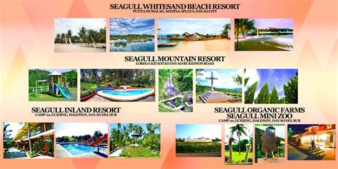 Come Visit Us Seagull Mountain .